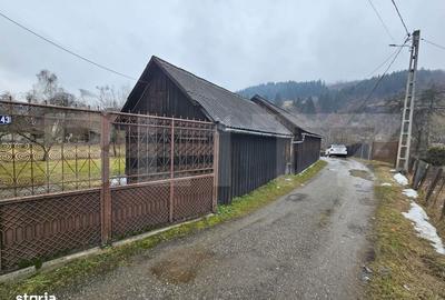 Casă cu 4 camere decomandat în Gura Roșiei - 12