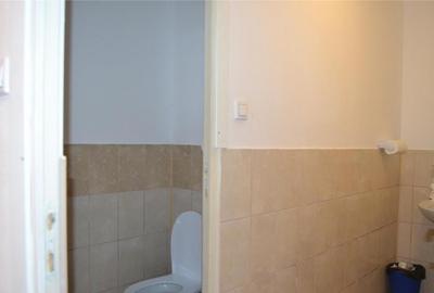 Hala 536mp Autorizata ISU - 4