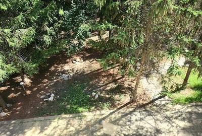 Casă individuală cu 7 camere cu Teren 1000 Mp în Băneasa - 19