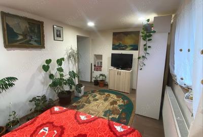 Casă cu 2 camere în Pestișu Mic - 4
