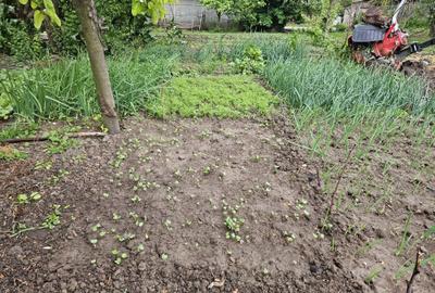 Spațiu comercial, în Mircea-Vodă - 1