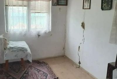 Casa batraneasca paianta - 9