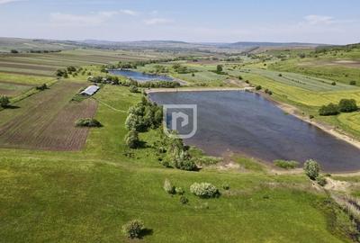 Teren Construcții intravilan de 16000 mp, în Costâna