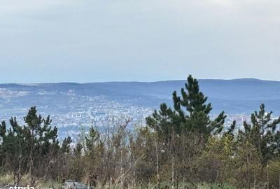 Spațiu comercial, în Iris - 1