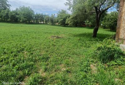 Casă cu 3 camere în Breb - 4