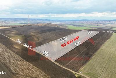 Spațiu comercial, în Șura Mică - 2