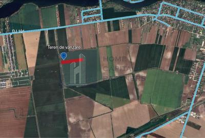 Teren agricol extravilan de 10000 mp, în Căciulați - 1