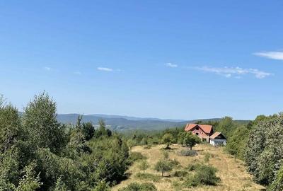 Teren Extravilan in mijlocul naturii. - 1