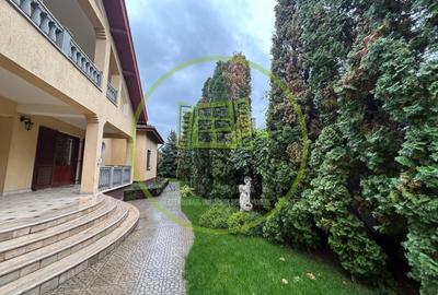 Casă individuală cu 12 camere cu Piscina în Bariera Vâlcii - 3