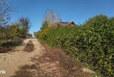 Teren de 1000 mp, în Piscu - 4
