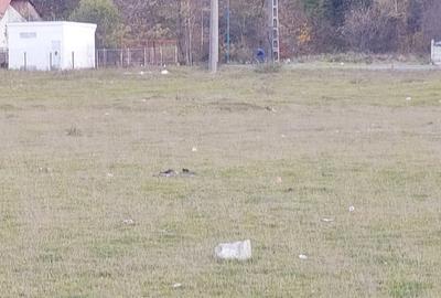 Spațiu comercial, în Bartolomeu - 2