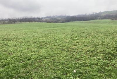 Miroslava! Teren agricol 6435, la 2 min de Primarie! - 1