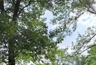 Drumul Taberei Parc Moghioros fost Compozitorilor sector 6 , Restaurant Hanul Drumetului 2 CAMERE
