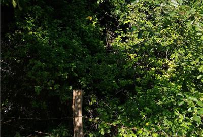 Casă cu 4 camere cu Teren 564 Mp în Câmpulung Muscel - 2