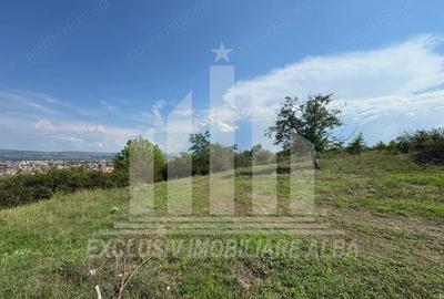 Teren intravilan de vanzare, Podei - 3