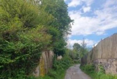 Casa si teren Petrosani, jud. Hunedoara - termen 12.03 - 11