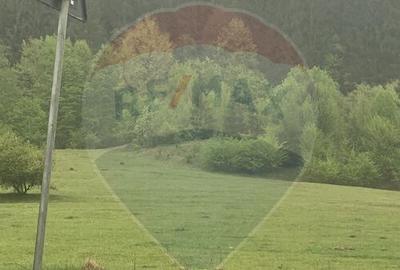 Teren de 4500 mp, în Babarunca