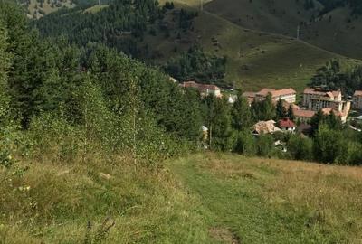 Teren vanzare Sandominic (Balan), Harghita - 10