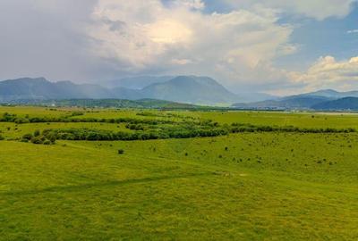 Teren de 10800 mp, în Râșnov - 7