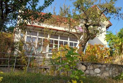 Casă cu 7 camere cu Teren 2200 Mp în Cerașu - 10
