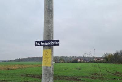 Teren de 3000 mp, în Brănești - 5