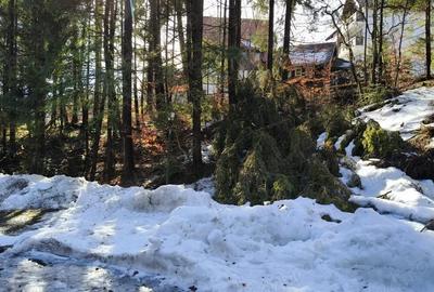 Teren de 835 mp, în Furnica - 3