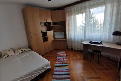 Apartament cu 2 camere semidecomandat în Beba Veche - 3