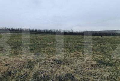 Teren intravilan 750 mp in Sopor - Cluj Napoca, front 29m - 1