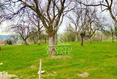 Casă cu 4 camere cu Teren 1079 Mp în Vârfurile - 3