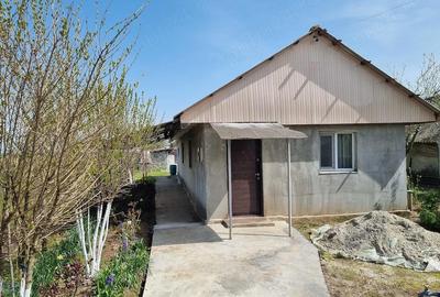 Casă cu 2 camere cu Teren 1500 Mp în Copaciu - 7