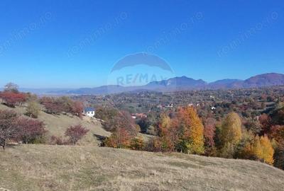 Teren de 2500 mp, în Bran - 1