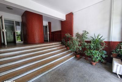 Apartament cu 3 camere decomandat, mobilat în Tei - 13