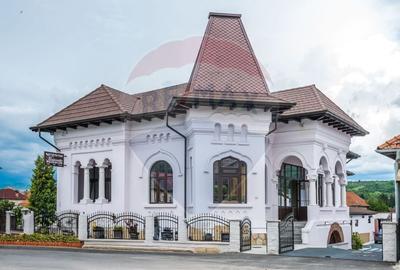 Proprietate specială, de 900 mp, în Central - 3