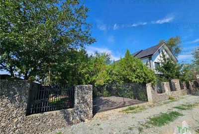 Vila superba, cu piscina, 970mp teren, D+P+E+M, gradina amenajata+pomi fructifer - 5
