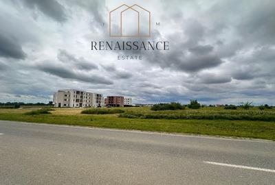 Teren Construcții intravilan de 20162 mp, în Moșnița Nouă - 3