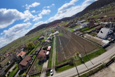 Teren Construcții intravilan de 10262 mp, în Nord-Est - 2