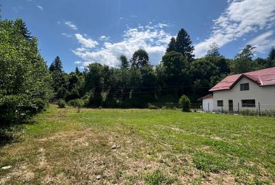 Teren intravilan 1200 mp – Valea Avrigului - 4