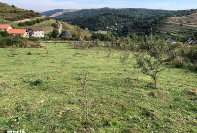 Spațiu comercial, în Tăuți - 4