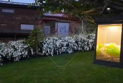 Casă cu 2 camere cu Teren 3100 Mp în Tărlungeni - 4