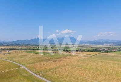 Teren : 2.000 mp in Glajerie, Rasnov, parcelat - comision 0% pentru cumparator! - 9