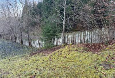 De vanzare 6850 mp pasune langa Manastirea Doroteia - Frasin /Plutonita - 10