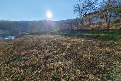 Teren Construcții intravilan de 664 mp, în Hemeiuș - 9