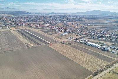 Teren Extravilan, P.U.Z. inceput - 6