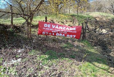 Teren de 25500 mp, în Bezdead - 3