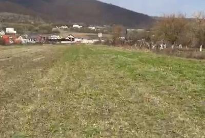 Teren de 2300 mp, în Viișoara - 4