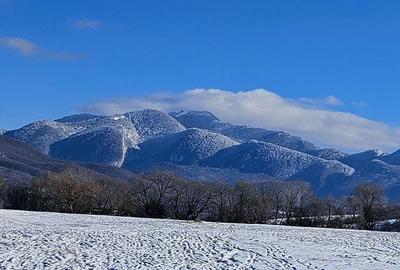 Teren de 5000 mp, în Pănicel