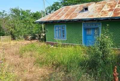 Teren de 2900 mp, în Cuca - 4