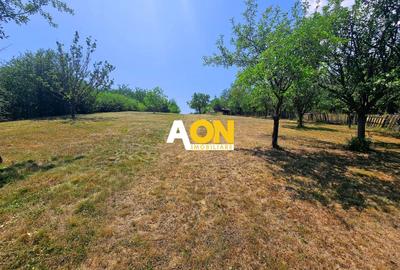 Casa tip cabana de vacanta, 5 camere, 2300 mp teren, zona Schit - 4