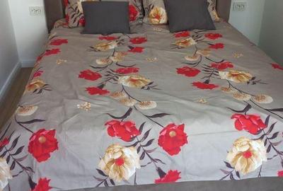 Apartament cu 3 camere semidecomandat în Girocului - 1