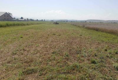 Teren de 3000 mp, în Exterior Sud - 3